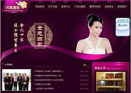 上海手機軟件開發與軟件設計 引領創新潮流,打造智慧未來